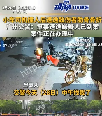 轿车司机逃逸