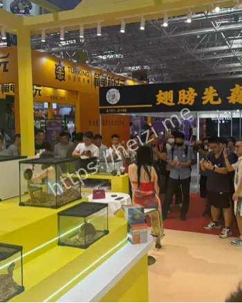 顺德龟展