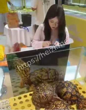 色狼拍照
