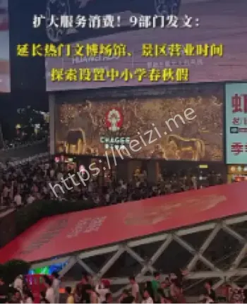扩大服务消费