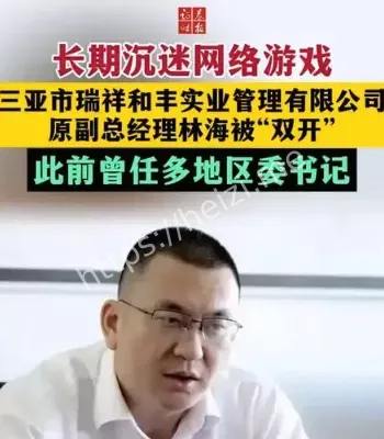 沉迷网络游戏国企原副总被双开
