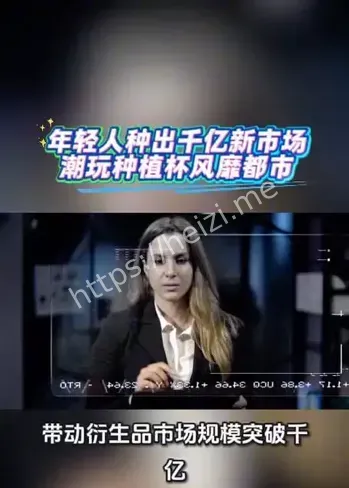 泡泡玛特