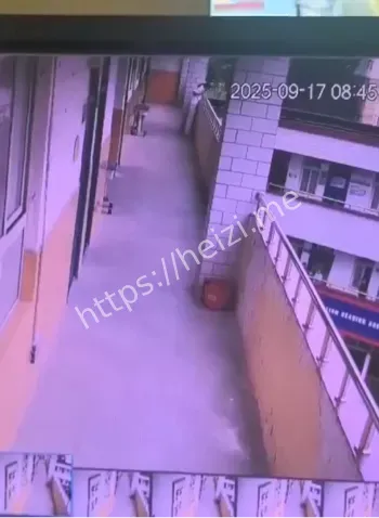 教育惩罚罚抄作业危害