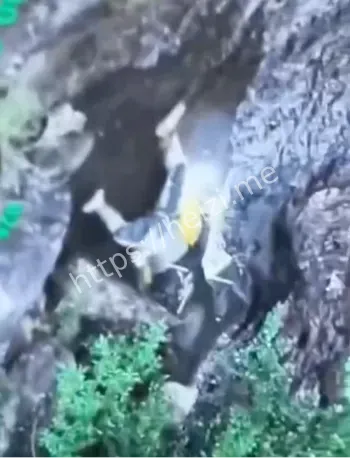 象鼻岩搜救最新