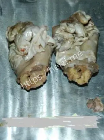 证据受损与多点抛尸