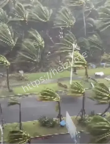 桦加沙实时路径与强度