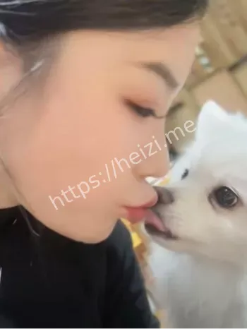 人狗情未了忠犬八公八卦启发