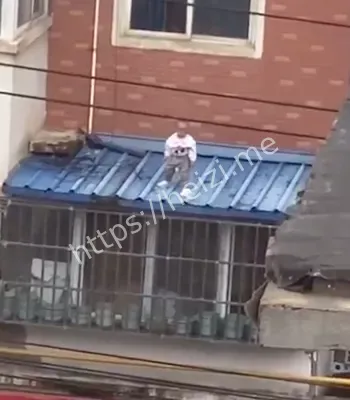 河南幼童坠楼事件