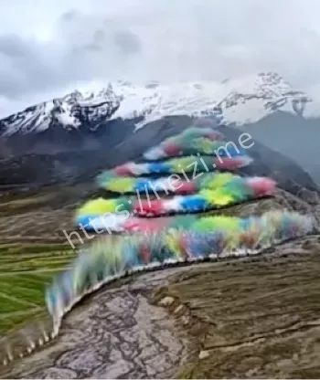 环保与商业冲突