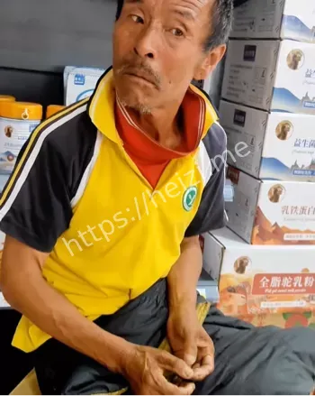 藏草丛逃逸
