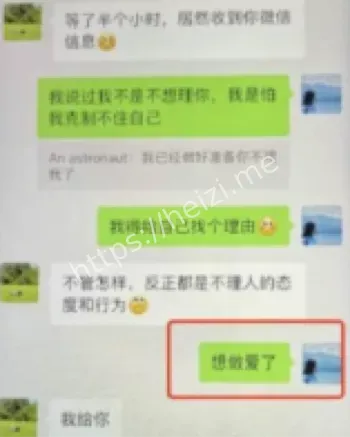 61页PPT博士出轨曝光