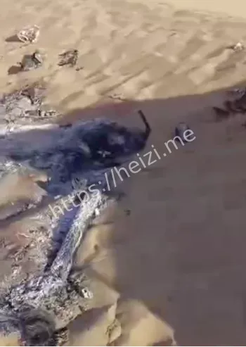 电动车安全问题