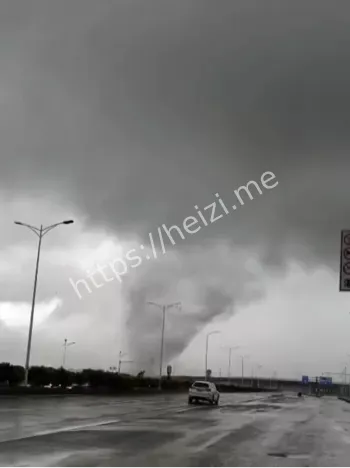 雷州龙门镇EF0个案