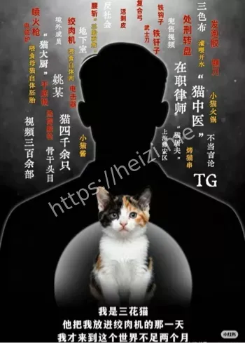 3年虐杀