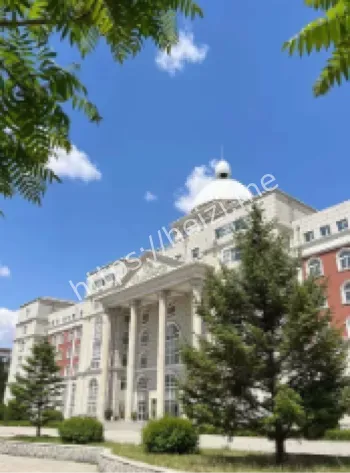 严乐怡