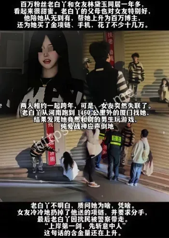 视频合集