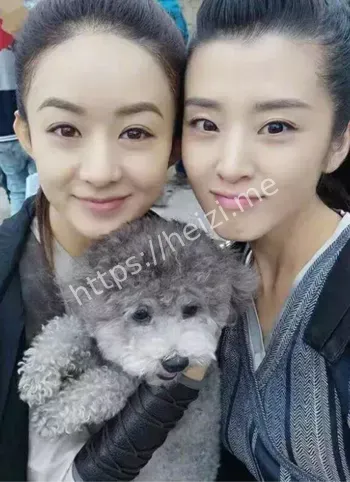 赵丽颖落水事件真相