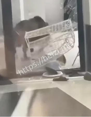 房东承担商户损失暖闻