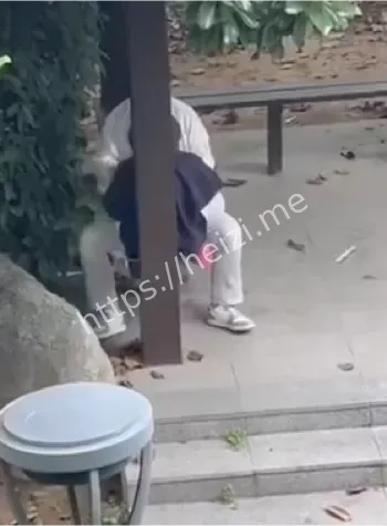 徐州学弟学妹围观打卡