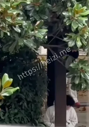 徐州技师学院凉亭情侣视频