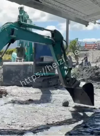 蜂拥志工组织缺失救援争议