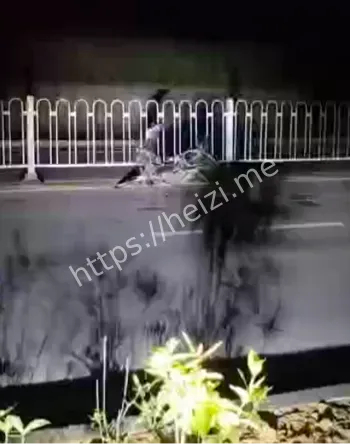 带妹飙车警示青春悲剧