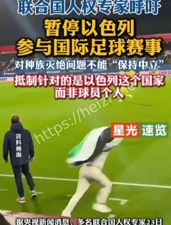 联合国专家呼吁暂停以色列