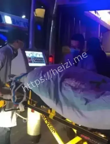 父愁者联盟