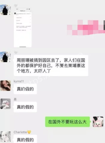 东南亚诈骗园区受害者故事
