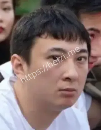 王思聪熊猫互娱被执行