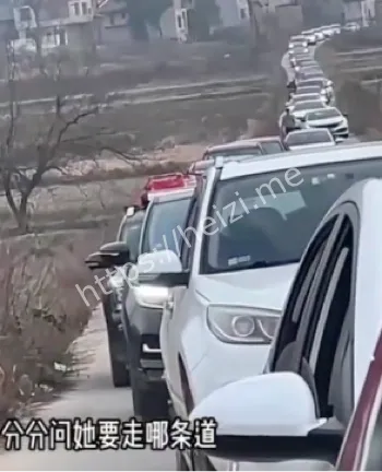 2888T奥迪小姐姐