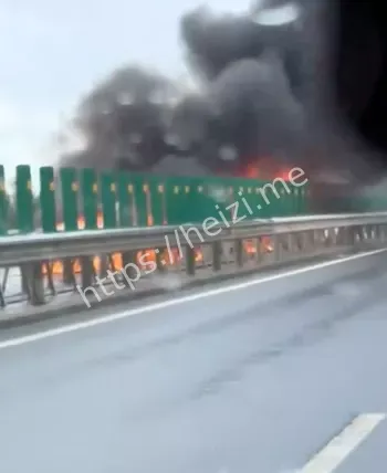 三辆豪车烧毁图片