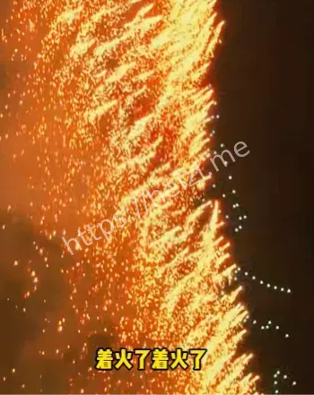 网友吐槽浪漫变惊魂