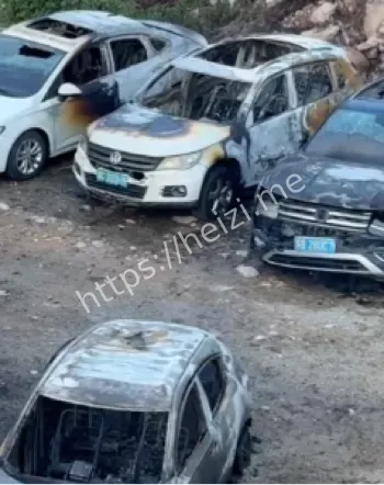 新车自燃车主刚买一个半月