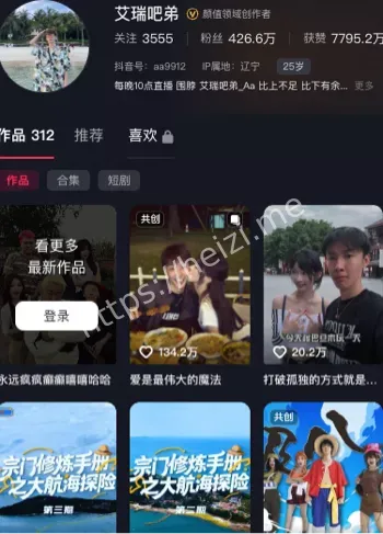 艾瑞吧弟