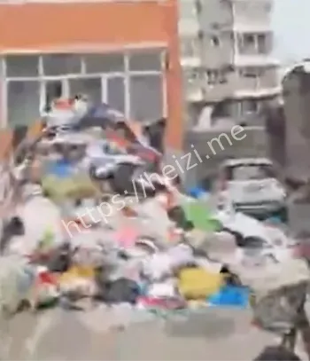 河北老太太捡垃圾堆满家事件