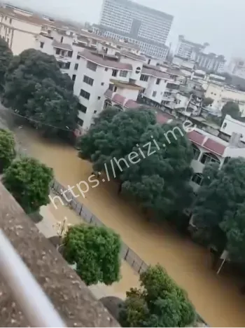 左江水位超警洪水