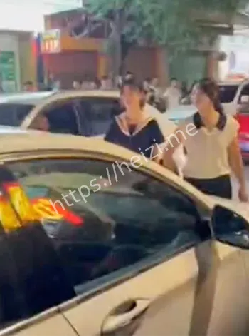肇庆原配带两女儿当街拦车砸车捉奸