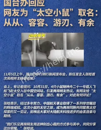 太空小鼠取名