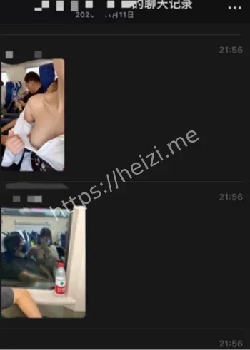 真铁蛋高铁事件