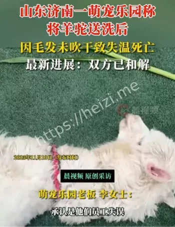 济南萌宠乐园