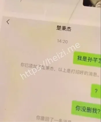 孙芊艺怀孕流产转账铁证