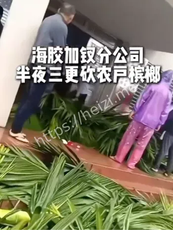 围堵掀车冲突