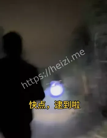 NPC汪汪队围剿