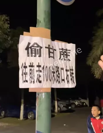 NPC汪汪队围剿