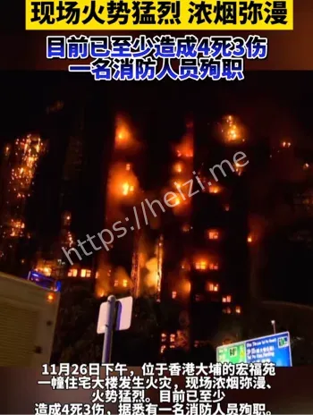 大埔棚架火灾起火原因