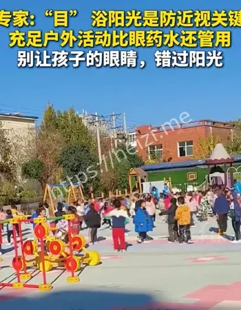 目沐浴阳光