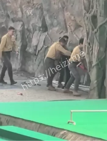 动物园表演事故