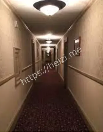 美国最恐怖鬼酒店