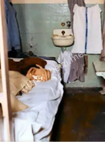 恶魔岛鬼魂出没